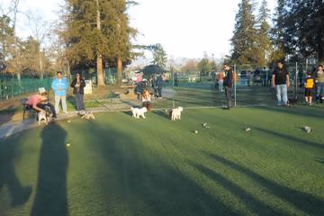 Butcher Dog Park photo 1